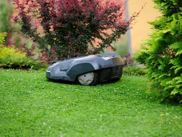 Robotgressklipper - best i test