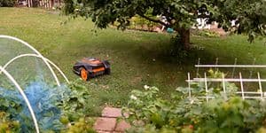 Robottiruohonleikkuri leikkaamassa pihan nurmikkoa