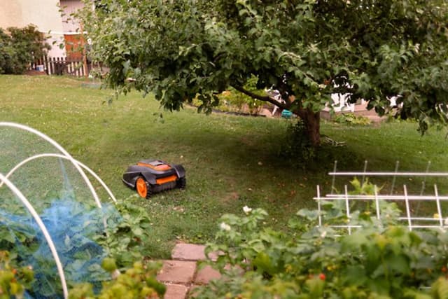 Bedste robotplæneklipper: Robotplæneklipper slår græs i en have