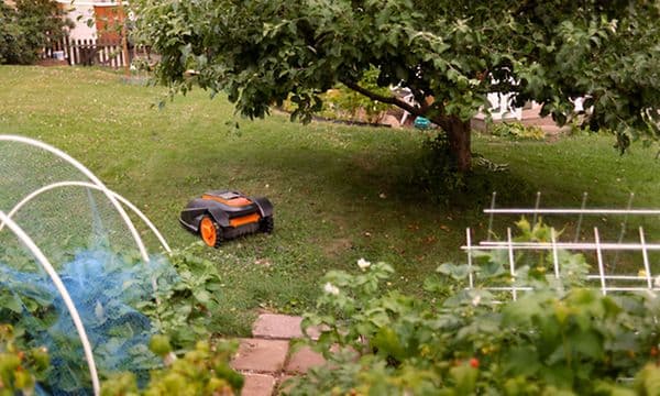 Robot lawn mover - Best in test