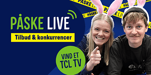 WEB ARTIKEL - 750x444 (22)