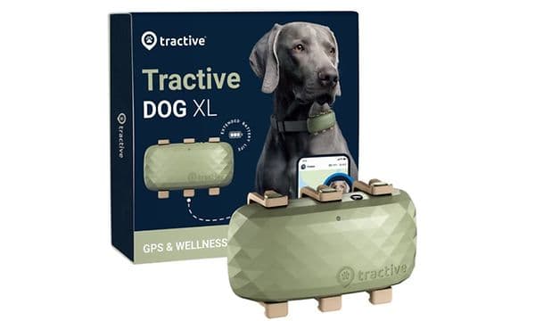 Dog XL Tracker image