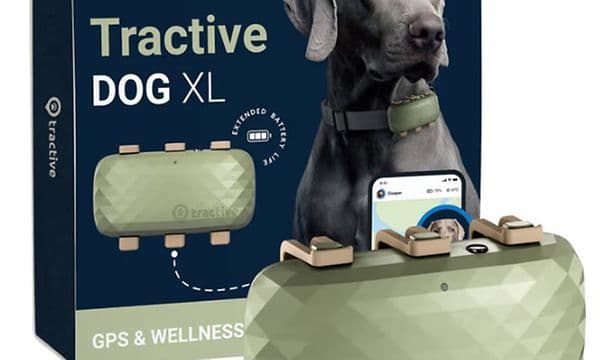 Product image on GPS tracker for dog