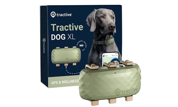 GPS-tracker til hund 