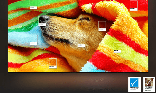 Samsung TV - Pantone-godkjent