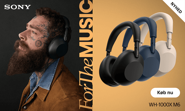 Sony WH-1000X M6