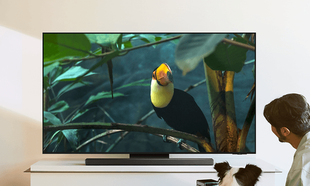 Samsung TV - S95F - Vision AI