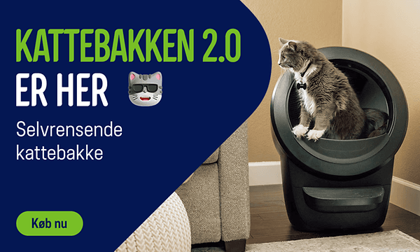 Whisker Litter