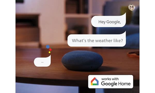 6.2 6900-Voice Assistant-2