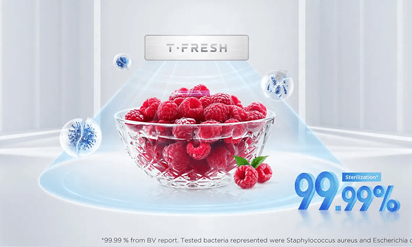 MDA - TCL - Fresh