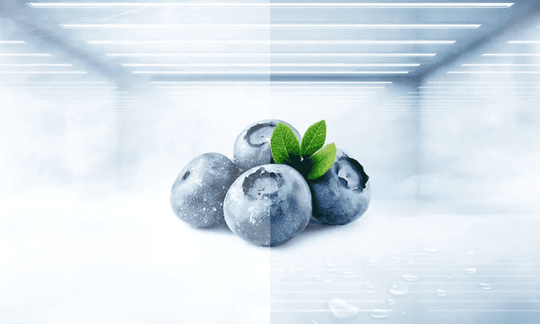 MDA - TCL - Ingen frost