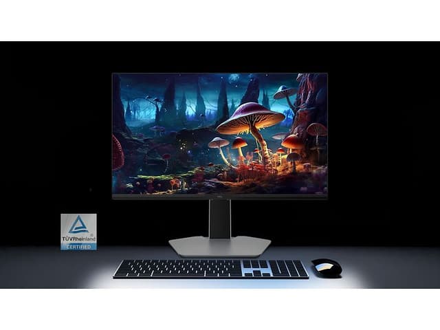 Rhein low blue light certification