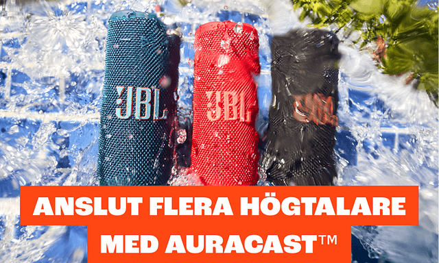 JBL GRIP-Auracast-SE