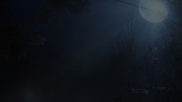 Wallpaper - background image