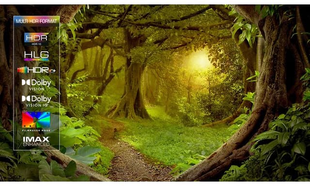 HDR MULTIFORMAT