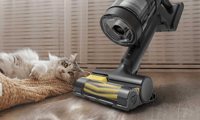Samsung Bespoke Jet AI Ultra støvsuger ved siden af en kat