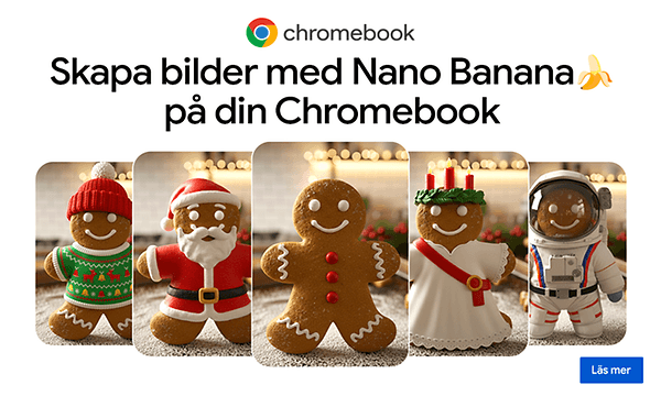 Google Chromebook