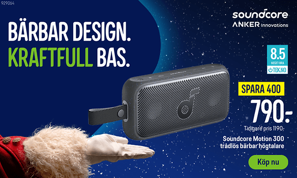 Soundcore Motion 300