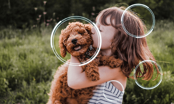 Samsung – 4K/8K AI Upscaling