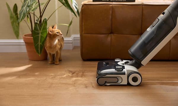 Trådløs støvsuger rengjør stuegulv med katt og plante i bakgrunnen
