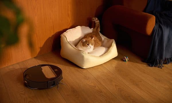 Roborock Saros Z70 står på tregulv ved siden av katt i katteseng 