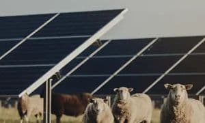 Svea Solar - elavtal