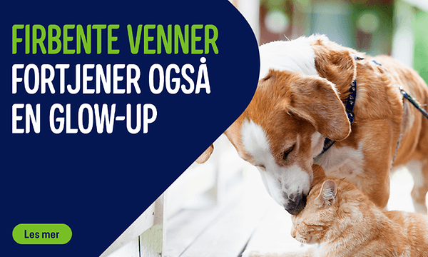 Pet Care Banner 1920x320 NO