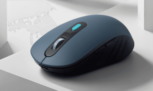 Grey mouse on a white background