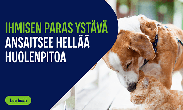 Gigantti mainoskuva lemmikkitarvikkeisiin