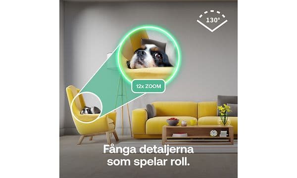 Inzoomning på en hund som vilar i gul fotölj