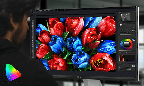 Mann ser på bilde av fargesterke tulipaner på TCL Mini LED PC-skjerm 