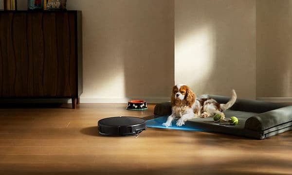 En hund hviler i sengen sin mens Roborock Saros 20 støvsuger gulvet rundt ham.