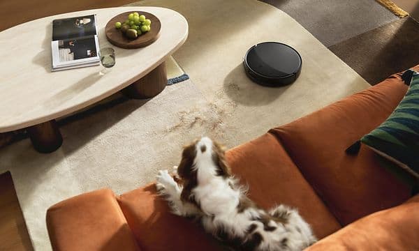 En hund på en orange sofa ser ned på Roborock Saros 20 som rengør gulvtæppe