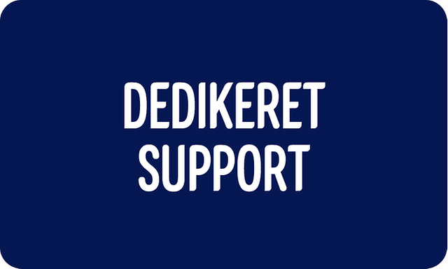 Dedikeret support