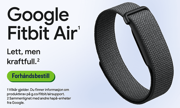 Google Fitbit Air