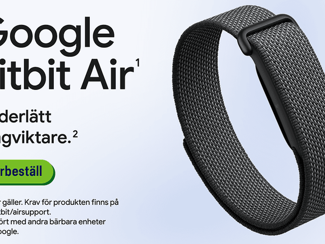 Google Fitbit Air