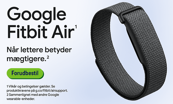 Google Fitbit Air
