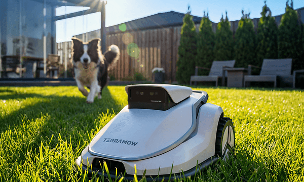 Terramow-robottiruohonleikkuri siistii nurmea ja koira juoksee taustalla kohti leikkuria