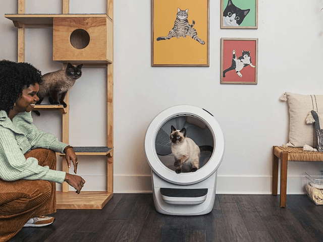 Whisker Litter Robot 4 -itsepuhdistuva kissanlaatikko