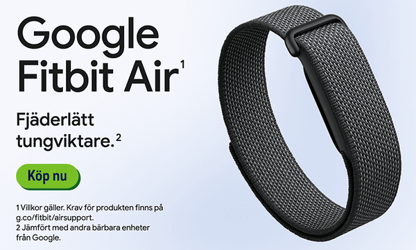 Google Fitbit Air