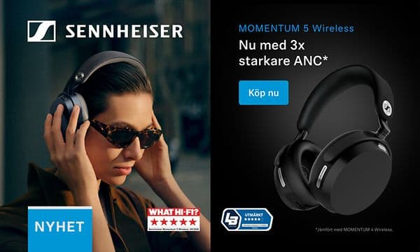 Sennheiser Momentum Wireless