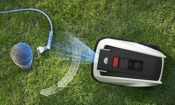 En Ecovacs Goat O800 RTK robotgräsklippare som detekterar en vattenslang och en igelkott på gräsmattan.