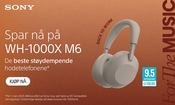 Sony WH-1000X M6