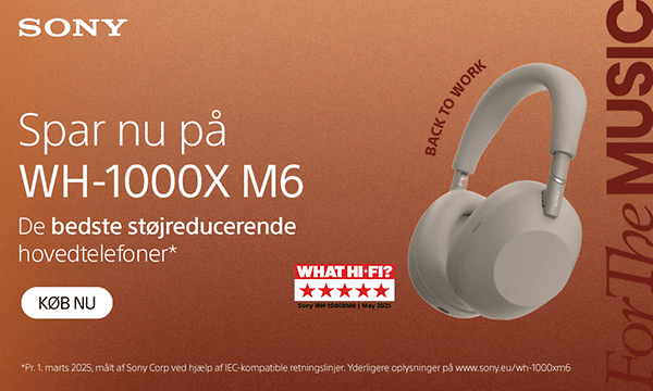 Sony WH-1000X M6