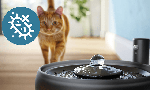 Philips Pet Series water fountain_Fresh water
