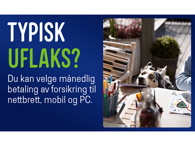 Elkjøp forsikringer til nettbrett, mobil og PC