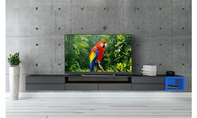 harmaassa huoneessa televisio, jossa värikäs papukaija