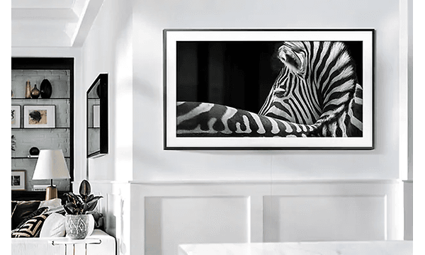 samsung tv fram displaying image of zebra